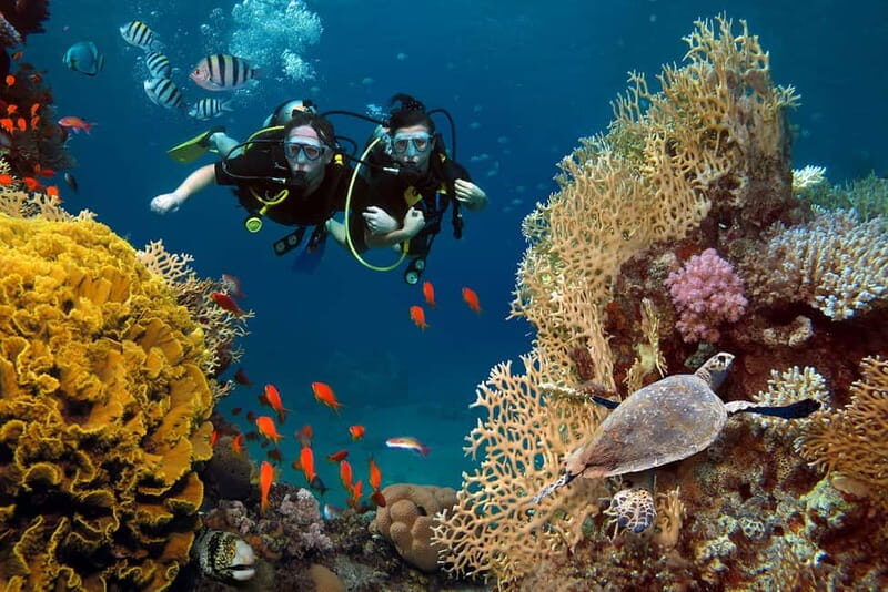Alanya: Scuba Diving Tour with Lunch and Hotel Transfers - First-Timers Get a Gentle Start in Alanya’s Warm Water