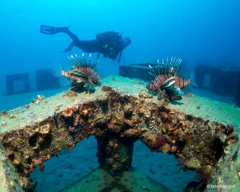 Alanya: Scuba Diving Tour with Lunch and Hotel Transfers - Photos and Videos: A Helpful Add-On With Mixed Value
