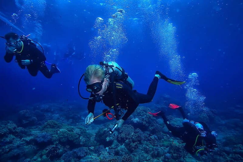 Alanya: Scuba Diving Tour with Lunch and Hotel Transfers - Hotel Pickup and Briefing: Where the Day Actually Starts