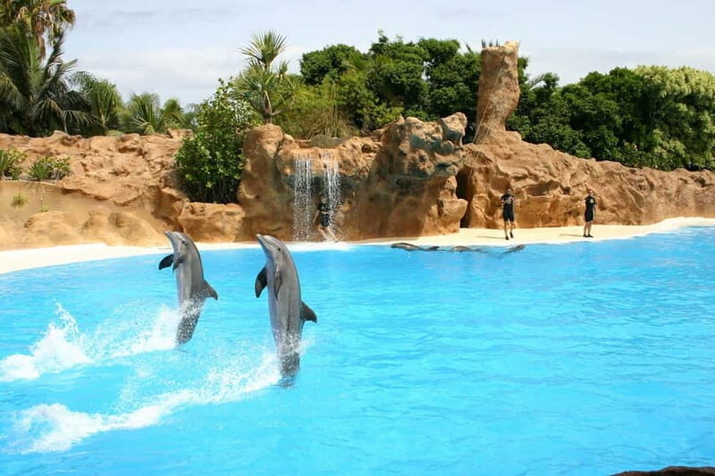 Alanya: Sealanya Dolphinpark Dolphin Show Tour - Key points to know before you go