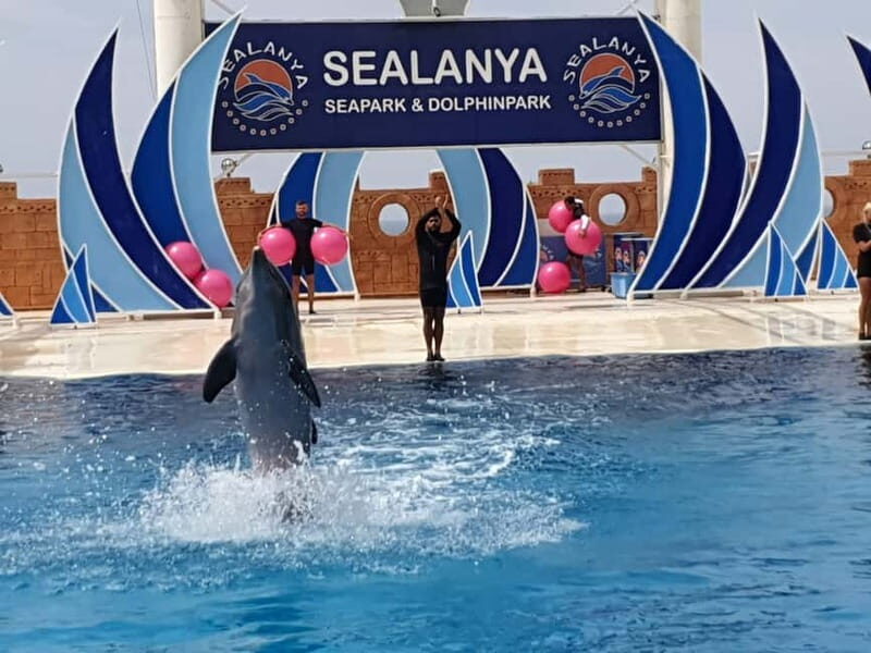 Alanya: Sealanya Dolphinpark Dolphin Show Tour - The show order: seals first, then dolphins and water games