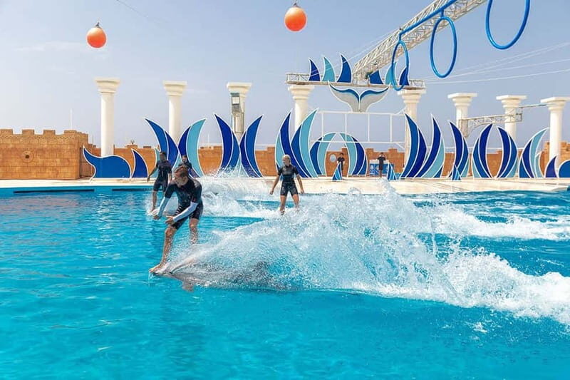 Alanya: Sealanya Dolphinpark Dolphin Show Tour - Who should book this Sealanya Dolphinpark show tour