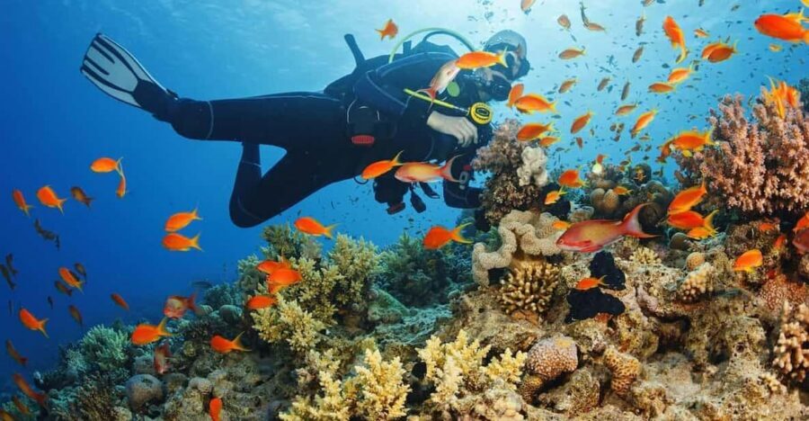 Alanya:Scuba Diving Boat Trip with Lunch and Transfer - Why this Alanya scuba boat trip feels good value