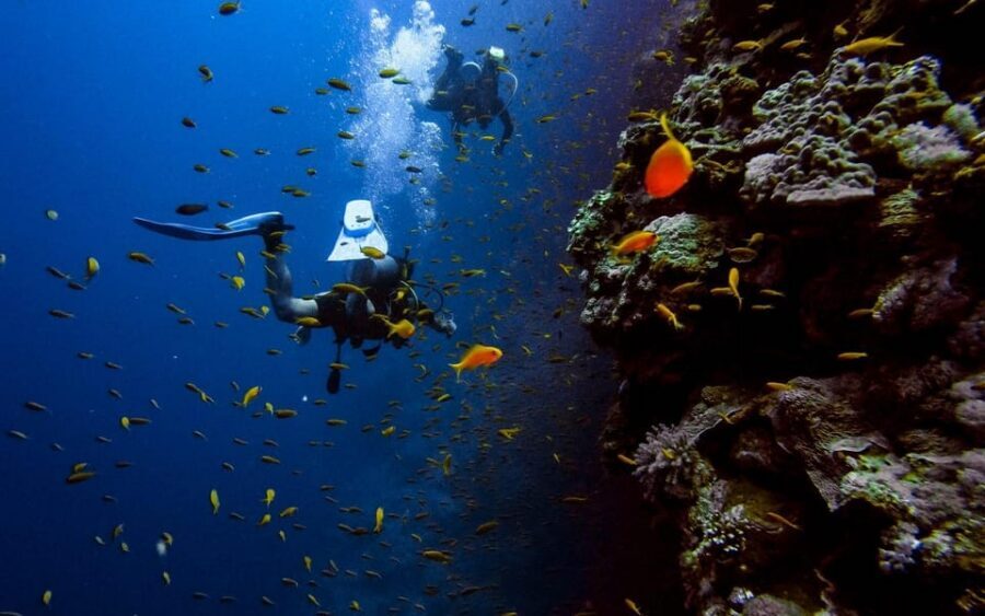 Alanya:Scuba Diving Boat Trip with Lunch and Transfer - Two underwater sessions at coral reef spots (and what you should expect)