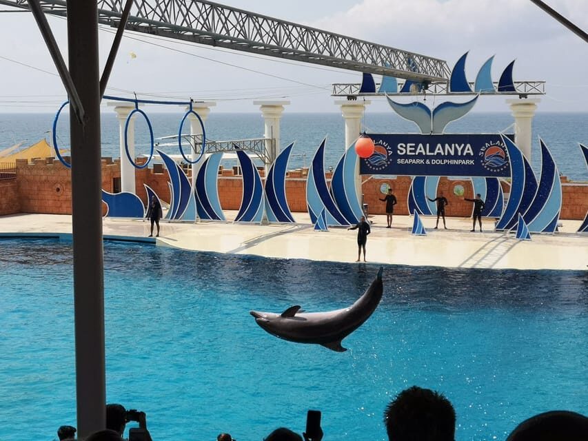 Dolphin Park Entry with Live Show and Pickup - Photos and videos: free during the show, optional paid prints