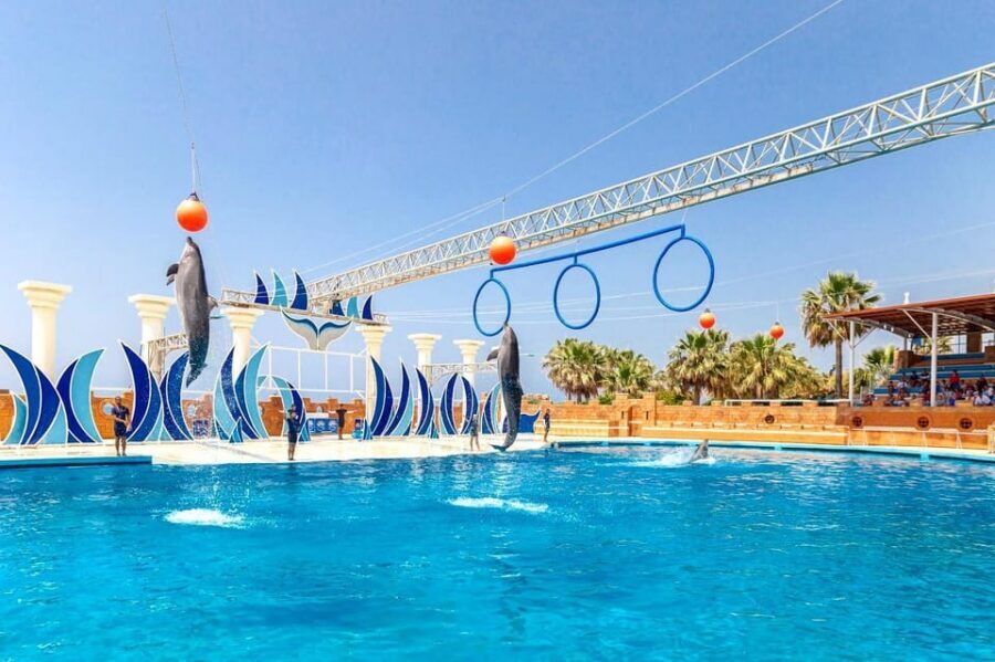 Dolphin Park Entry with Live Show and Pickup - Should you book this dolphin park entry with live show and pickup?