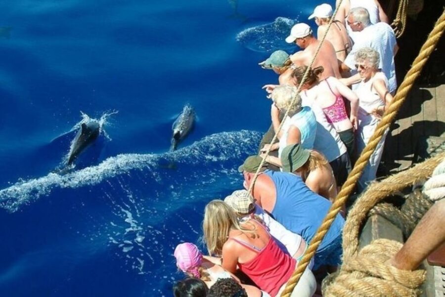Explore Alanya's Beauty Catamaran Boat Tour - Mud Cave and Ulash Beach: two swim breaks with different flavors