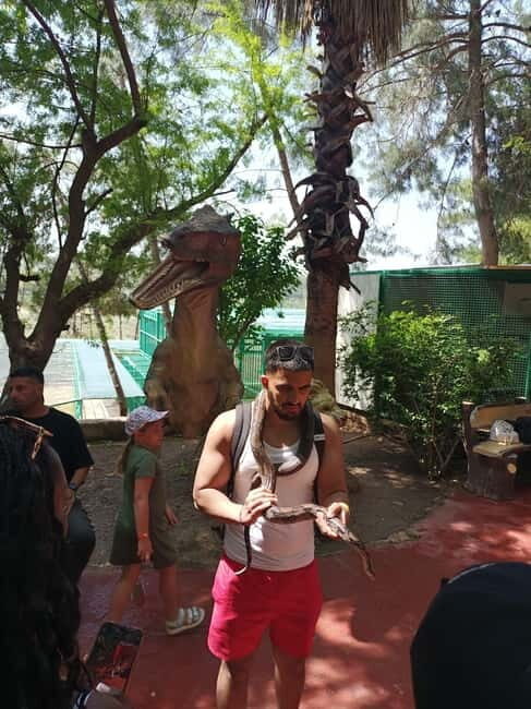 From Alanya: Lion Safari & Green Canyon Splash Feast w/Lunch - Optional lion safari: how to think about the €4 zoo entrance