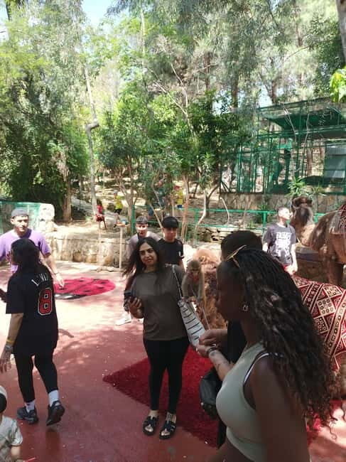 From Alanya: Lion Safari & Green Canyon Splash Feast w/Lunch - Lakeside drive, Dam Lake boat cruise, and the BBQ lunch payoff