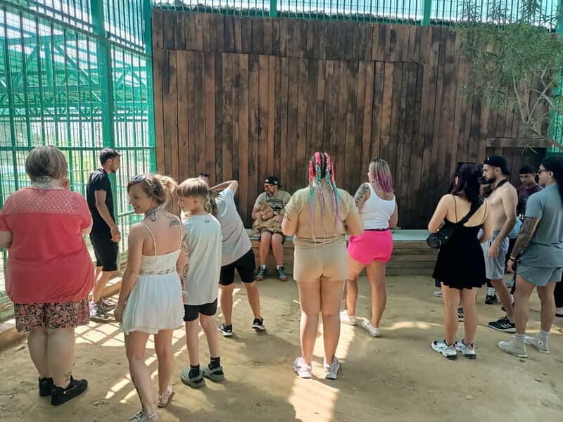 From Alanya: Lion Safari & Green Canyon Splash Feast w/Lunch - What’s included vs. what costs extra (and what that means for value)