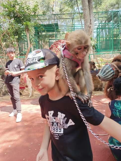From Alanya: Lion Safari & Green Canyon Splash Feast w/Lunch - Photo and video add-on: optional, but people seem to like it