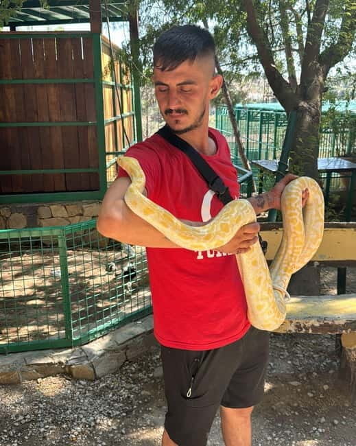From Alanya: Lion Safari & Green Canyon Splash Feast w/Lunch - Pickup, timing, and how the 6.5 hours feels in real life