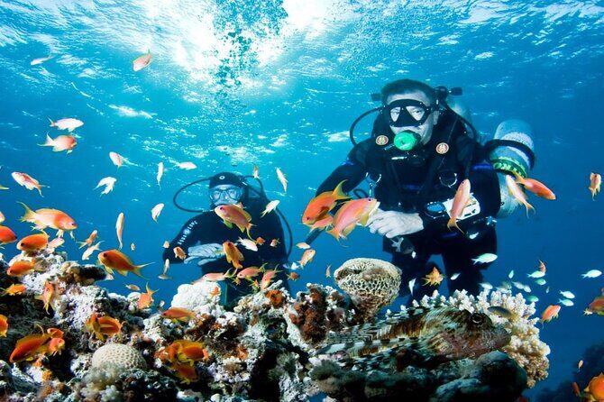 From Side, Alanya: Scuba Diving With 2 Time Dive & Lunch - Getting Ready Before You Go Under: Training, Gear, and Limits