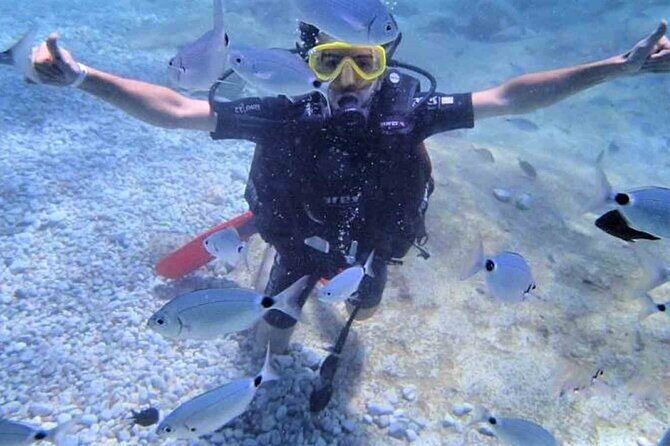 From Side, Alanya: Scuba Diving With 2 Time Dive & Lunch - Lunch Onboard and the Midday Break: Where the Day Feels Like a Vacation