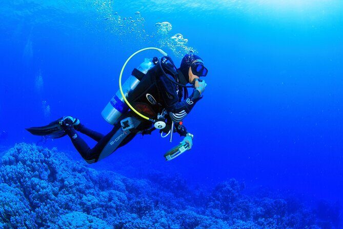 From Side, Alanya: Scuba Diving With 2 Time Dive & Lunch - Second Underwater Session at 7–8 Meters: The Bigger Challenge, Still Controlled