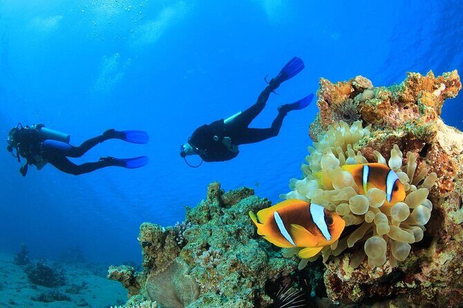 From Side, Alanya: Scuba Diving With 2 Time Dive & Lunch - Price and Value: What $45.38 Buys in Alanya