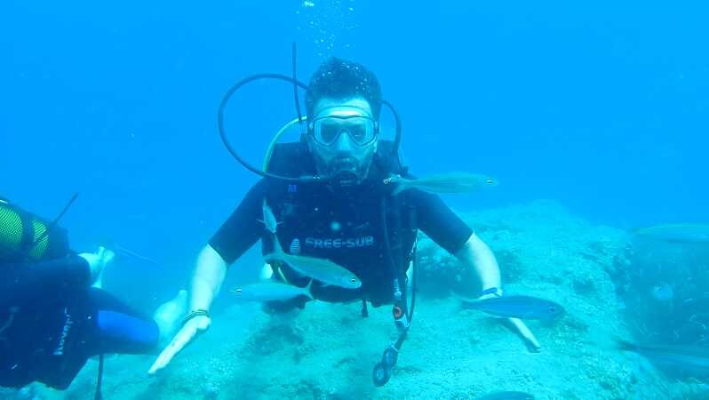 From Side: Guided Scuba Diving in Alanya w/ Lunch & Transfer - Getting to Alanya Harbour: transport, timing, and your meeting point