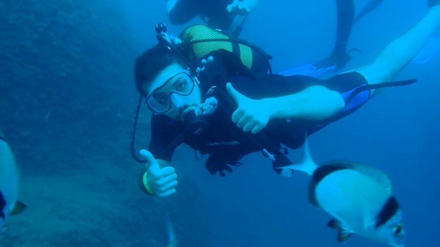 From Side: Guided Scuba Diving in Alanya w/ Lunch & Transfer - Two water sessions vs staying on board: choosing your best option