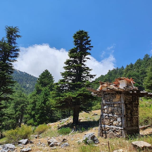 Hiking Tour At The Taurus Mountains of Alanya - Halil’s Guidance: More Than Directions, Less Than Lectures
