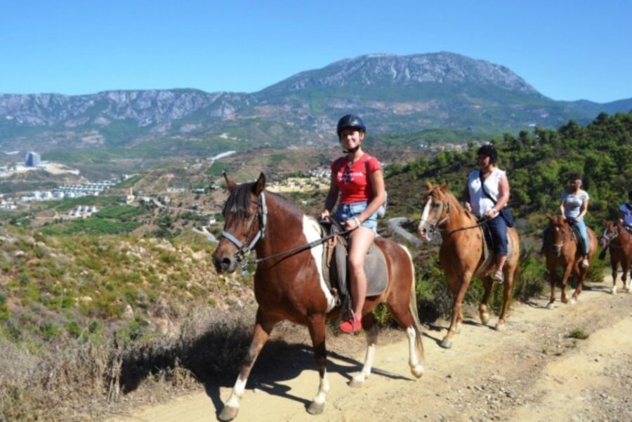 Luxury Harem Maldives Alanya All Inclusive Boat Adventure - Leaving Alanya Harbor: Transfers, Timing, and How the Day Flows