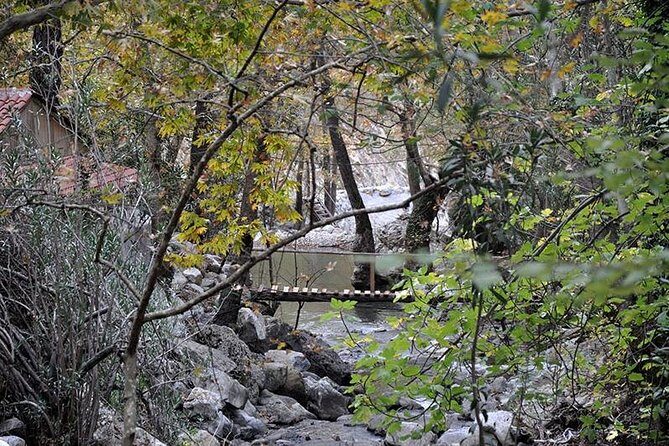 Monster Green Canyon Safari with Lunch - Swimming in the lake: fun value, but plan the gear