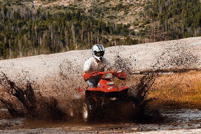 Quad Safari Experience in Alanya (Adventure Tour) w/ Free Hotel Transfer - Value for $35: what you’re really paying for