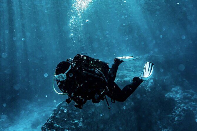 Scuba Diving Experience in Alanya With Lunch and 2 Dives - Quick highlights you’ll actually care about