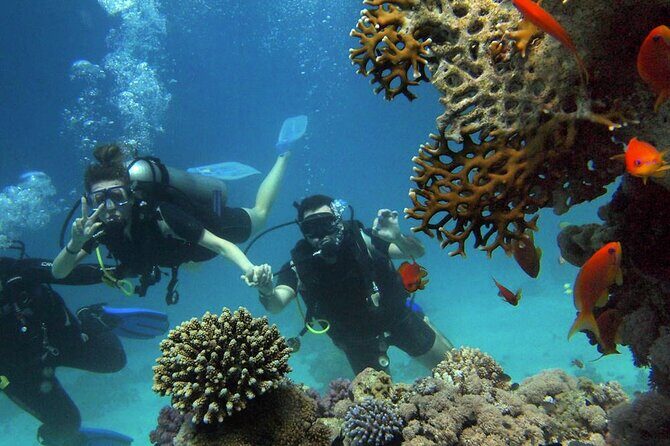 Scuba Diving Experience in Alanya With Lunch and 2 Dives - Alanya is a smart place to try scuba