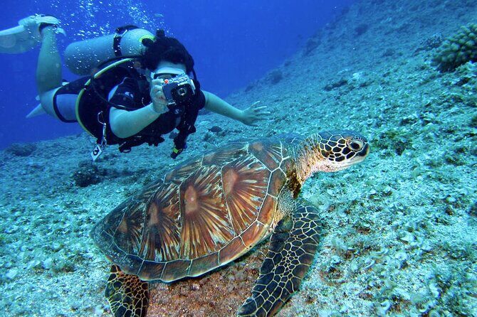 Scuba Diving Experience in Alanya With Lunch and 2 Dives - The actual day on the water: what happens between start and stop