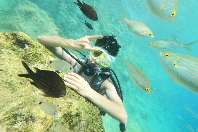 Scuba Diving Tour With Lunch in Alanya - Briefing and gear: the part that makes first-timers comfortable