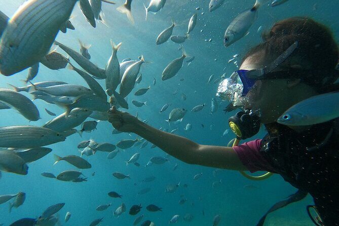 Scuba Diving Tour With Lunch in Alanya - Lunch on board: simple food, good timing, and no starvation gap