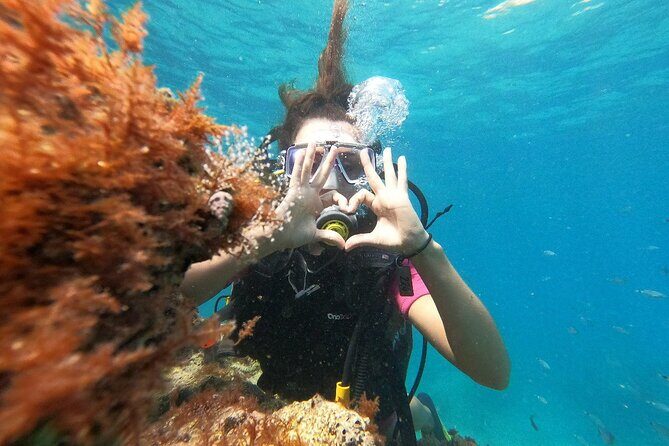 Scuba Diving Tour With Lunch in Alanya - Afternoon session: often clearer and a bit more challenging