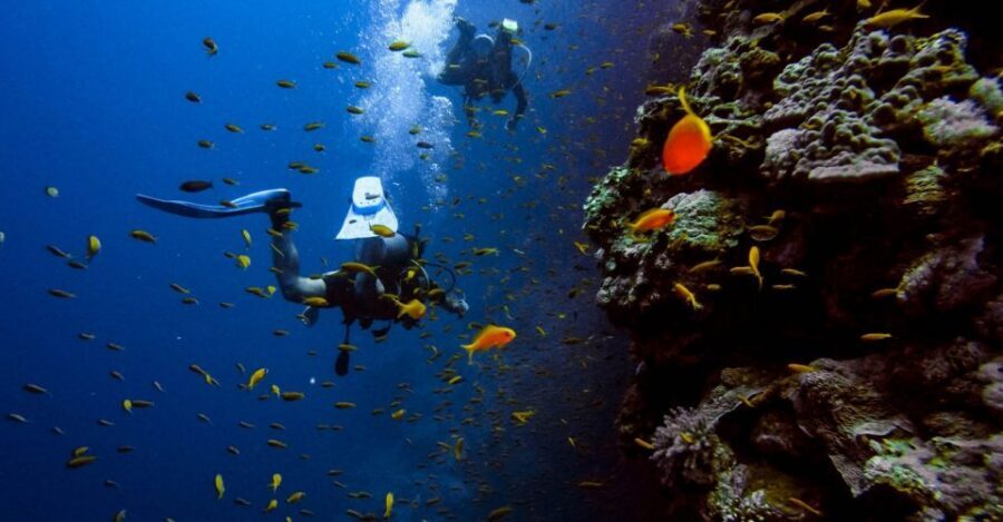 Scuba Diving Tour with Transfer From Alanya and city of Side - What to Bring (And What to Skip)
