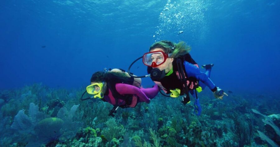 Scuba Diving Tour with Transfer From Alanya and city of Side - Weather and Sea Conditions: When Plans Change