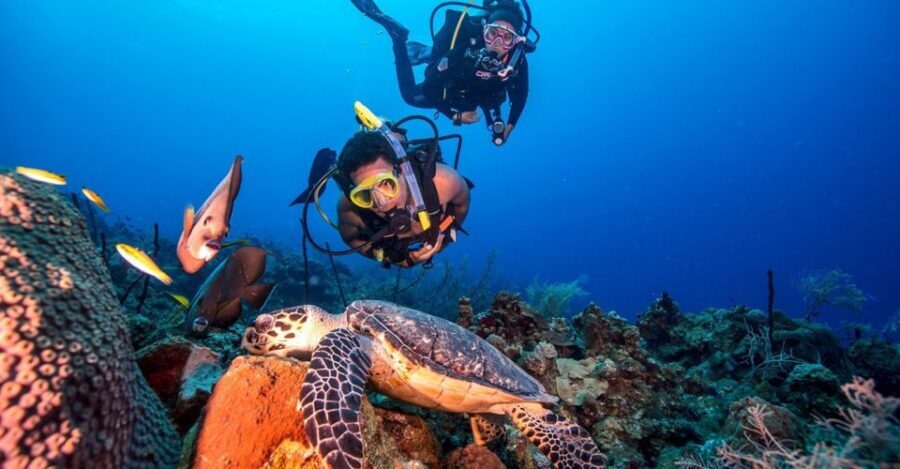 Scuba Diving Tour with Transfer From Alanya and city of Side - The Second Session Plan: Repeating the Shallow-Deeper Pattern Around 6 Meters