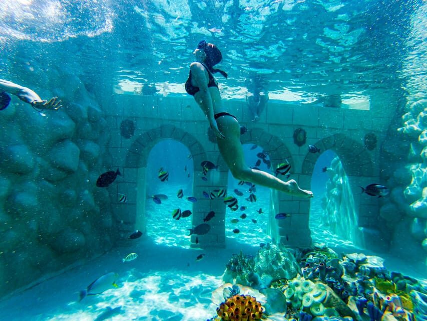 Seapark: Swimming in Pool Aquarium with Authentic Creatures - Atlantis Underwater: A Themed Drowned City You Can Swim Through
