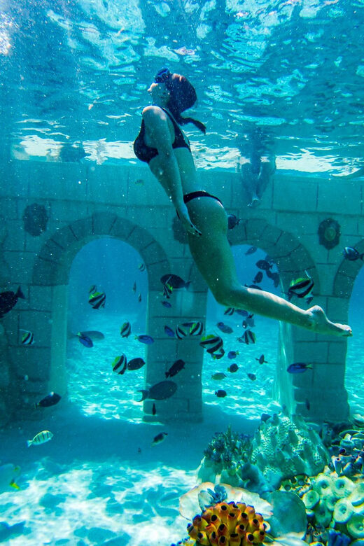 Seapark: Swimming in Pool Aquarium with Authentic Creatures - Freshwater 300m Lazy River and Kids Pools: Why the Non-Snorkel Break Matters