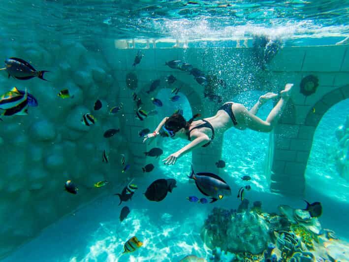 Seapark: Swimming in Pool Aquarium with Authentic Creatures - Tropical Reef Snorkeling All Day: Coral-Style Scenery With Thousands of Fish