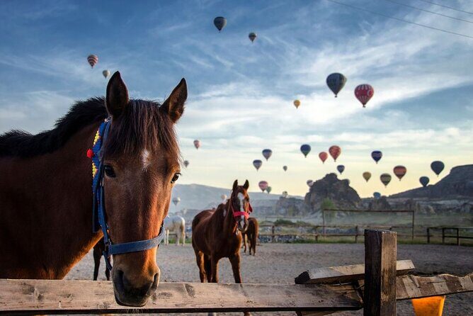 Two Days Tour to Cappadocia with HB Hotel & Transfer from Alanya - Day 1: Devrent Valley, Pasabag, Kaymakli Underground City, and Göreme